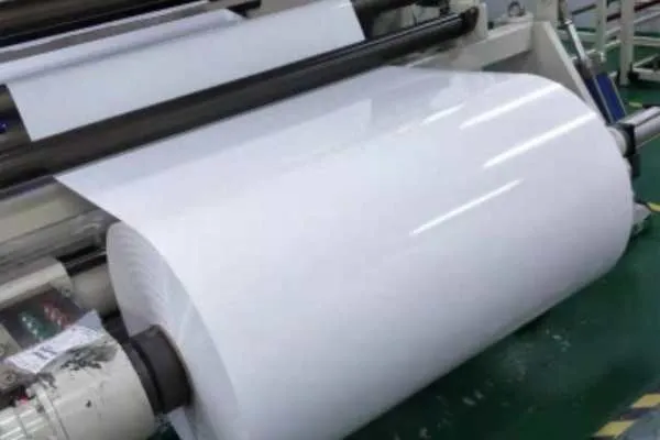 PET Sheet and Roll Film